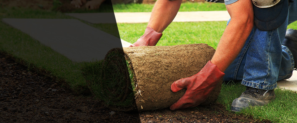 Hillsdale Landscapers